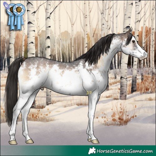 Horse Color:White Spotted Liver Red Onyx Sabino 
