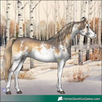 Horse Color:White Spotted Chocolate Palomino Onyx Sabino 