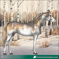Horse Color:White Spotted Chocolate Palomino Onyx Sabino 