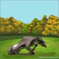 Horse Color:Silver Grullo Appaloosa 