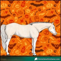 Horse Color:Silver Buckskin Roan Splash 