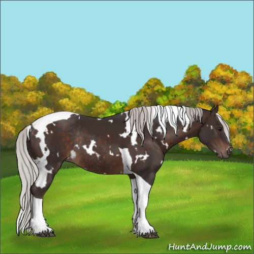 Horse Color:White Spotted Silver Brown Tobiano Rabicano 