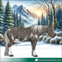 Horse Color:White Spotted Silver Black Tobiano 