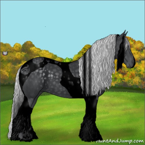 Horse Color:Void Silver Black Chinchilla Tobiano 