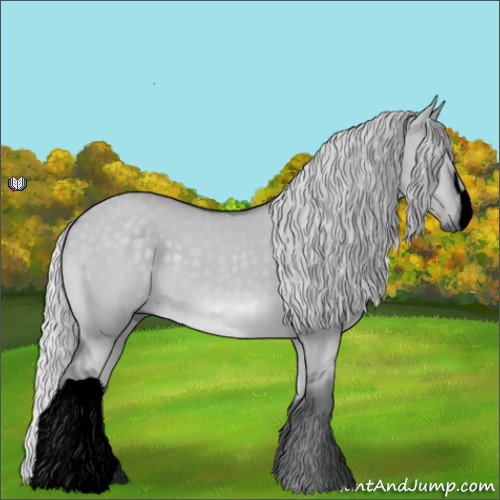 Horse Color:Void Silver Grullo Chinchilla 
