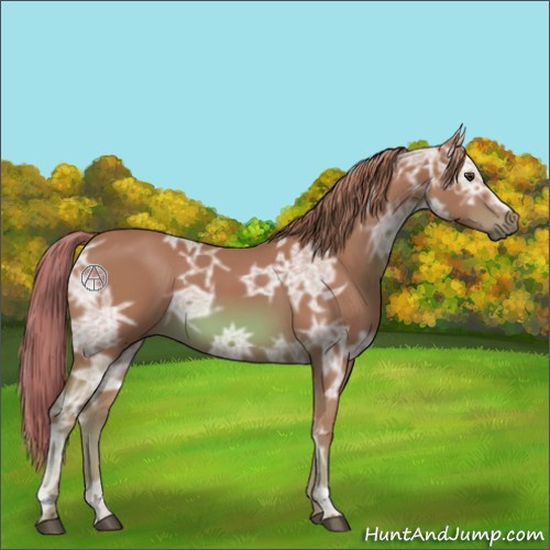 Horse Color:Watercolor Chestnut Ice