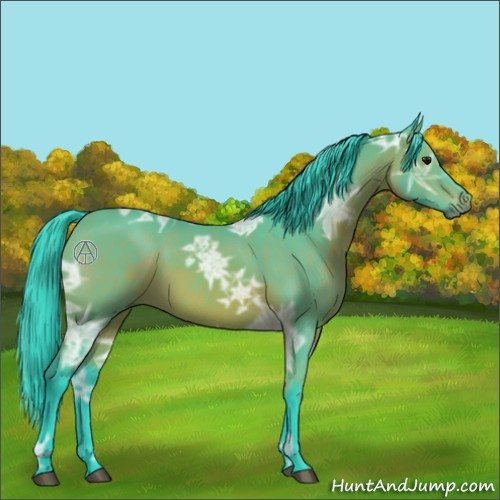 Horse Color:Watercolor Bay Ice