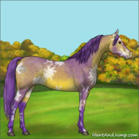 Horse Color:Watercolor Bay Ice 