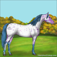 Horse Color:Watercolor Bay Ice Appaloosa 