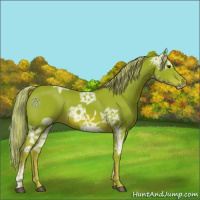 Horse Color:Watercolor Chestnut Ice