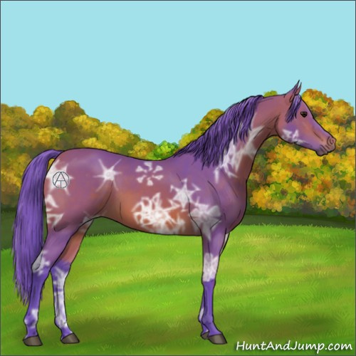 Horse Color:Watercolor Bay Ice