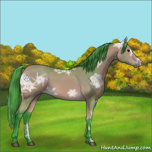 Horse Color:Watercolor Buckskin Ice 