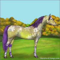 Horse Color:Watercolor Bay Ice 