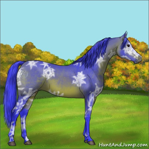 Horse Color:Watercolor Bay Ice