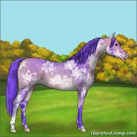 Horse Color:Watercolor Buckskin Ice 