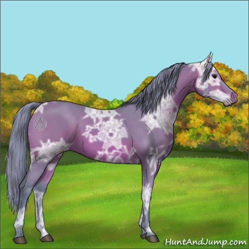 Horse Color:Watercolor Bay Ice