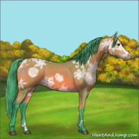 Horse Color:Watercolor Bay Ice