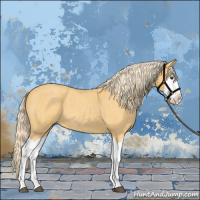 Horse Color:Palomino Roan Splash 