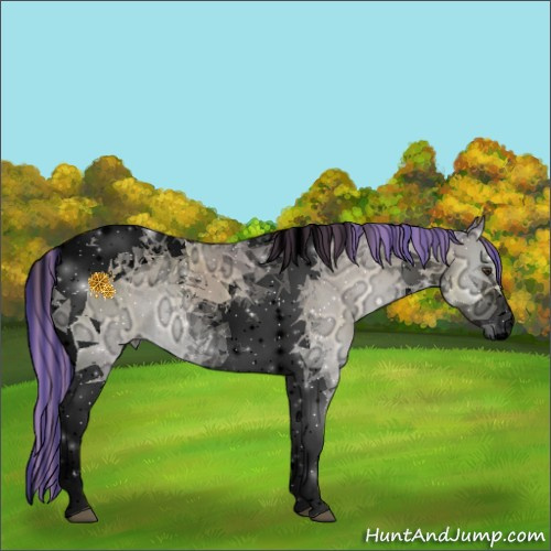 Horse Color:Void Painted Watercolor Buckskin Ice Onyx Tobiano 