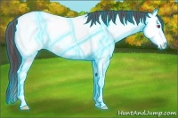 Horse Color:Thunderstruck White Spotted Chocolate Buckskin Chinchilla Rabicano 