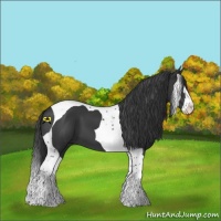 Horse Color:Black Splash Tobiano 