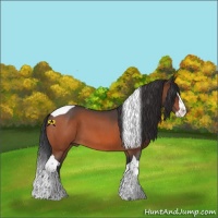 Horse Color:Bay Roan Splash Tobiano 