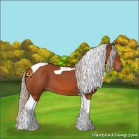 Horse Color:Silver Bay Tobiano