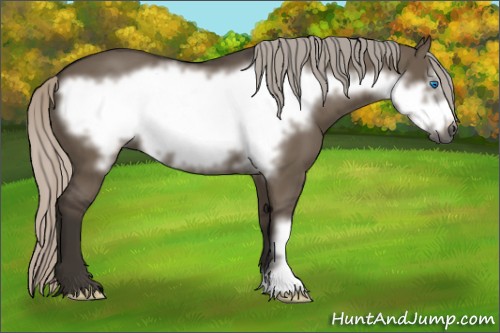 Horse Color:Gray Silver Grullo Frame 