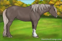 Horse Color:Silver Black 