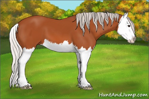 Horse Color:Silver Bay Splash 