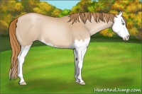 Horse Color:Chestnut Pearl Splash 