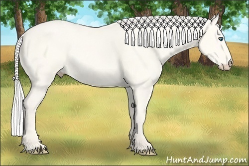Horse Color:Silver Perlino Dun