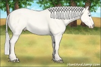 Horse Color:Silver Perlino Dun 
