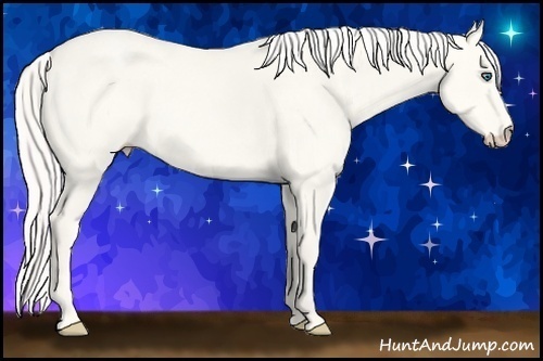 Horse Color:Cremello Dun 