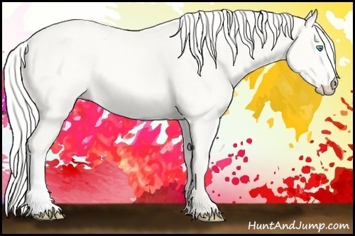 Horse Color:Silver Perlino Dun