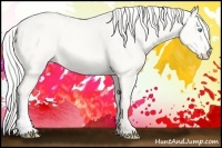 Horse Color:Silver Perlino Dun 