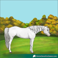 Horse Color:White Spotted Liver Red Roan Mushroom Varnish 