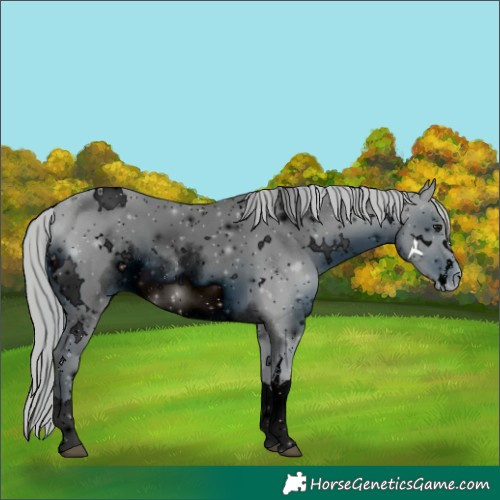 Horse Color:ERROR: UNKNOWN ANOMALY