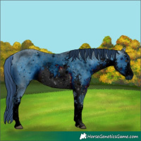 Horse Color:ERROR: UNKNOWN ANOMALY