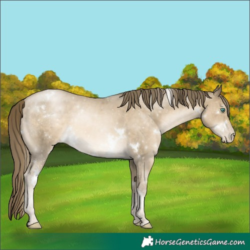 Horse Color:White Spotted Smoky Black Pearl 