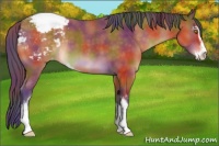 Horse Color:Nacre Buckskin Sabino Varnish 