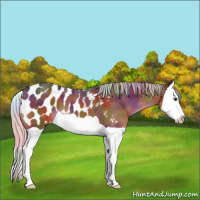Horse Color:Nacre Silver Brown Splash Blanket 