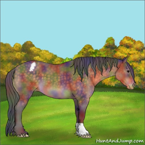Horse Color:Nacre Buckskin Varnish