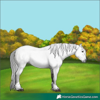 Horse Color:Gray Grullo Mushroom Tobiano Rabicano 