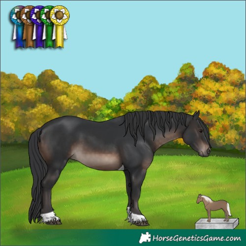 Horse Color:Brown Mushroom Tobiano Rabicano 
