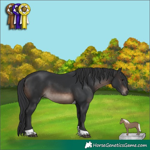 Horse Color:Brown Mushroom Tobiano Rabicano 