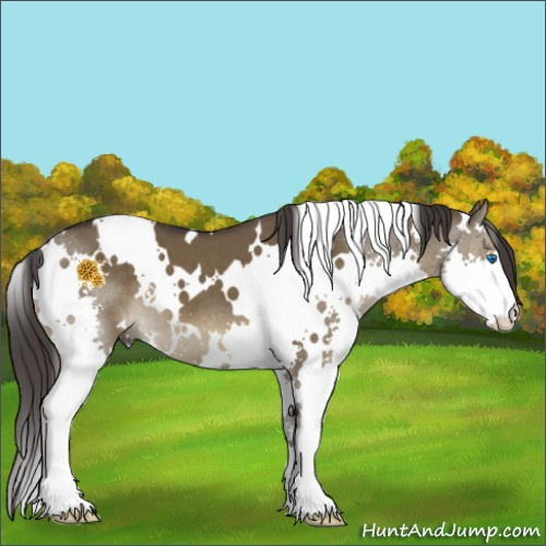 Horse Color:White Spotted Smoky Grullo Splash 