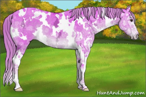 Horse Color:Watercolor White Spotted Liver Chestnut Ice 