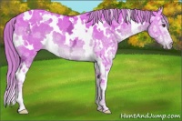 Horse Color:Watercolor White Spotted Liver Chestnut Ice 