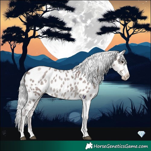 Horse Color:Platinum Chocolate Silver Smoky Grullo Roan Appaloosa 
